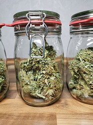 Growreport Bild 18