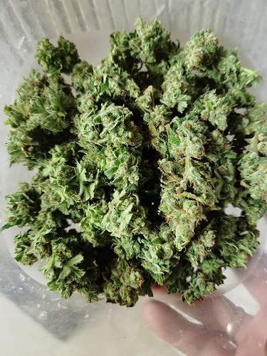 Growreport Bild 6