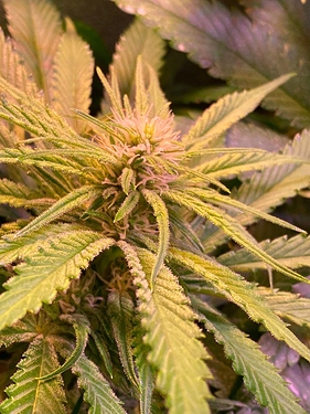 Growreport Bild 18