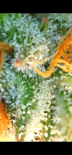 Growreport Bild 10