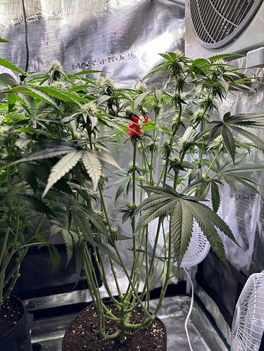 Growreport Bild 15