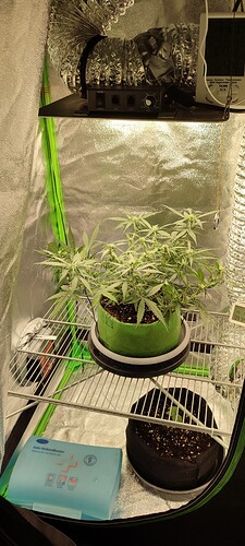 IMG_20230826_095437