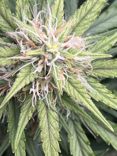 Growreport Bild 8