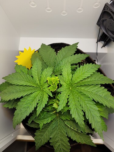 Growreport Bild 1