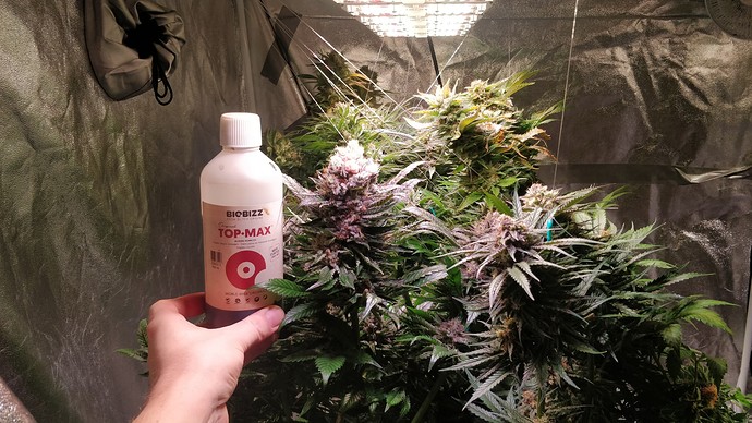 Growreport Bild 8