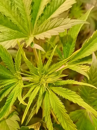 Growreport Bild 21