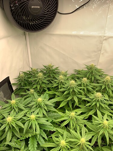 Growreport Bild 4