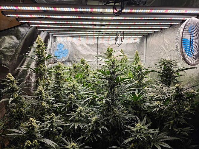 Growreport Bild 15