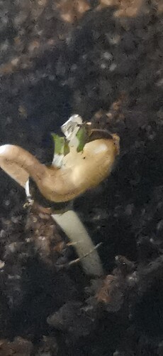 Growreport Bild 2