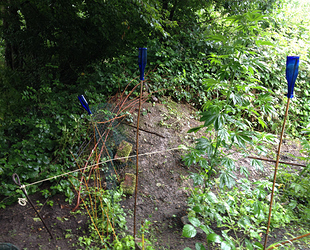 Growreport Bild 8