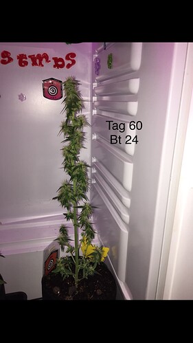 Growreport Bild 13