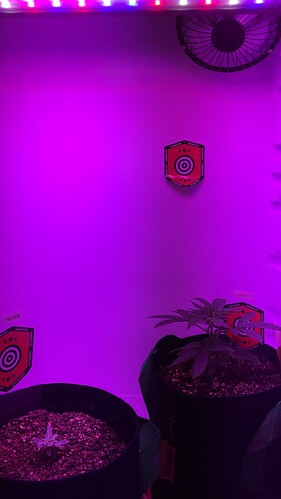 Growreport Bild 23