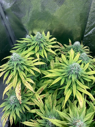 Growreport Bild 2