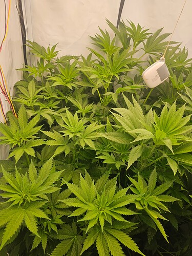 Growreport Bild 11