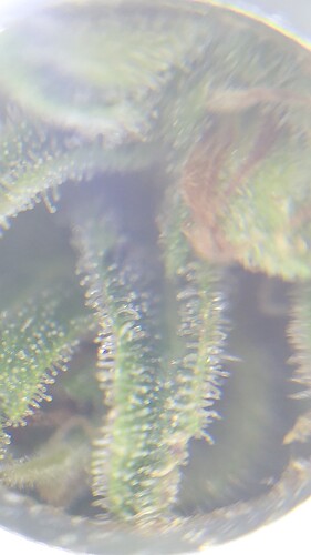Growreport Bild 13