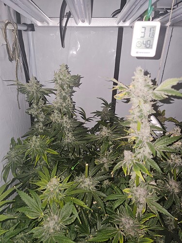 Growreport Bild 12