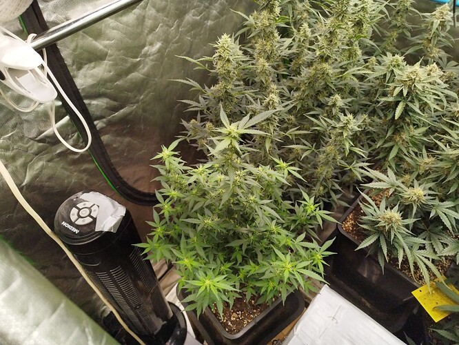 Growreport Bild 27
