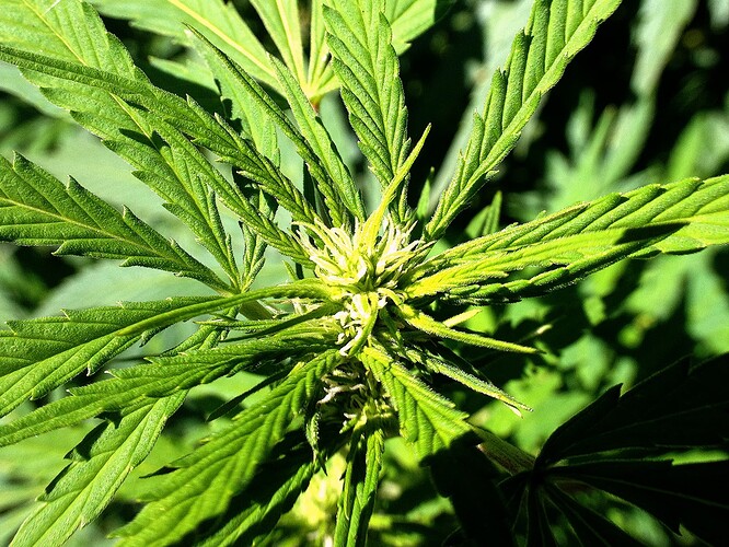 Growreport Bild 15