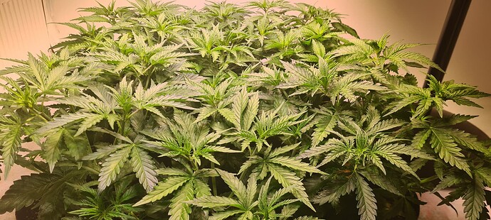 Growreport Bild 10