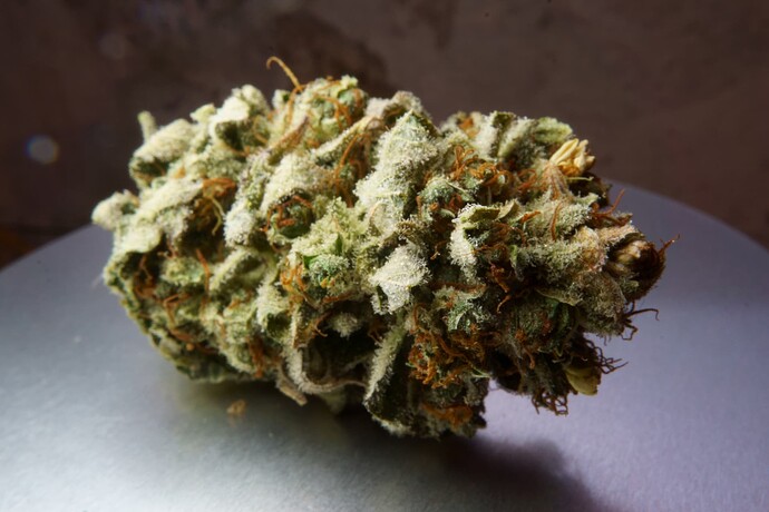 Growreport Bild 1