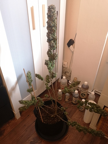 Growreport Bild 6