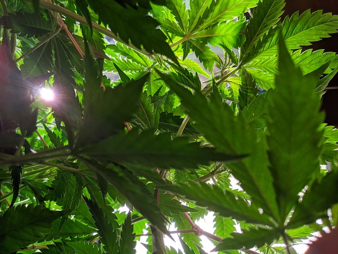 PXL_20210823_132000255