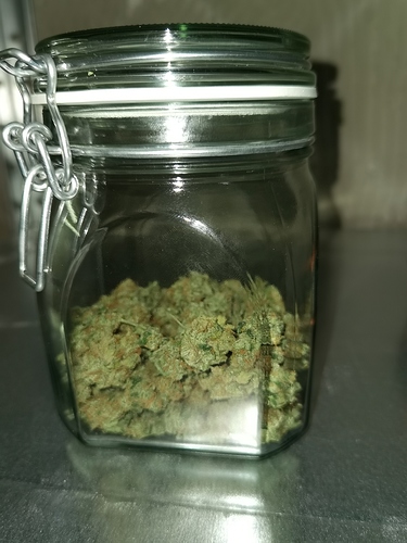 Growreport Bild 18