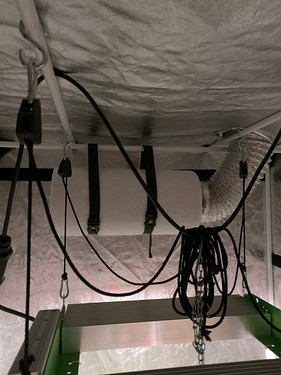 Growreport Bild 25