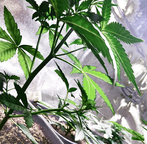 Growreport Bild 2