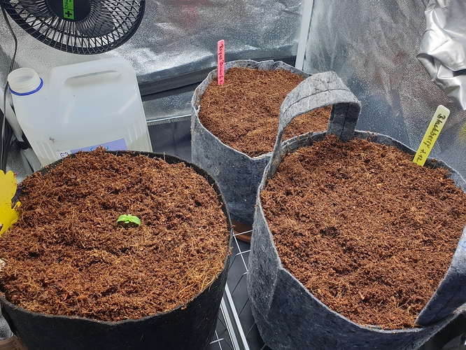 Growreport Bild 2