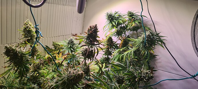 Growreport Bild 20
