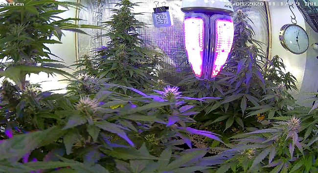 Growreport Bild 13