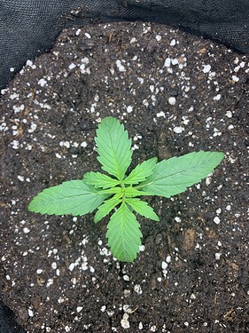 92763CD7-9226-4A5E-97EA-5F24AAC8C8CD