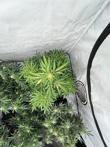 Growreport Bild 12