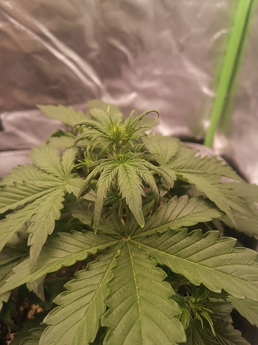 Growreport Bild 6