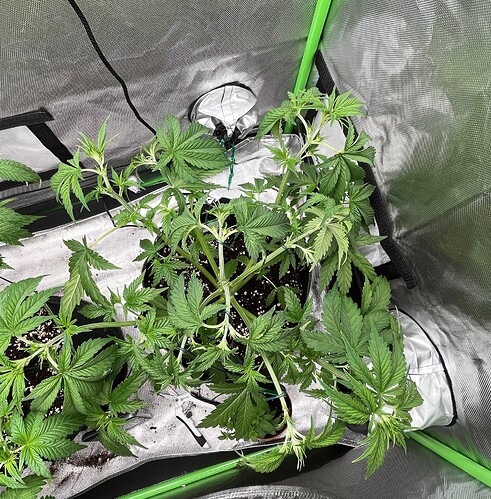Growreport Bild 12
