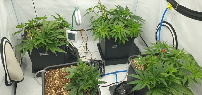 Growreport Bild 10