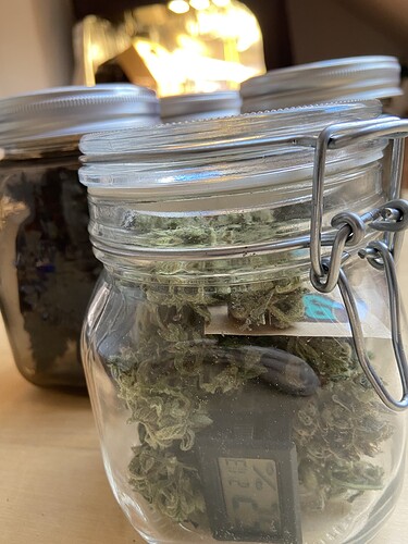 Growreport Bild 5