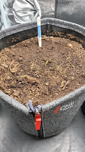 Growreport Bild 3