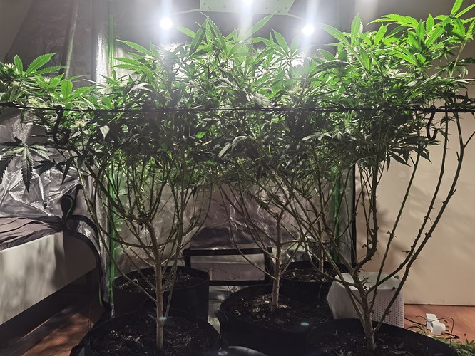 Growreport Bild 3