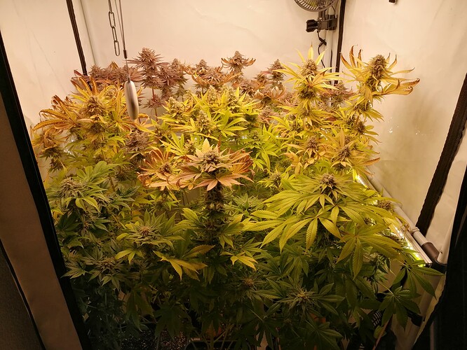 Growreport Bild 3