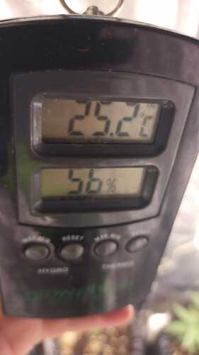 IMG-20230921-WA0008
