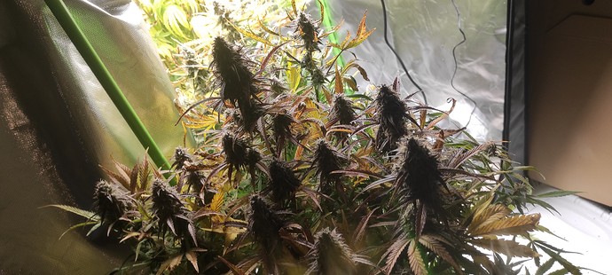 Growreport Bild 11