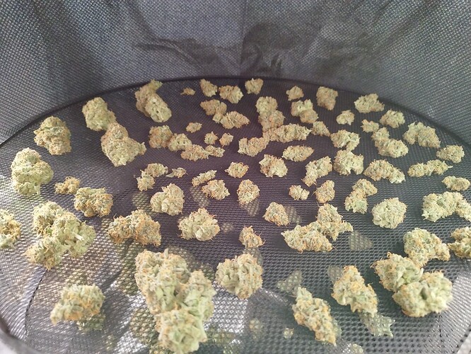 Growreport Bild 12