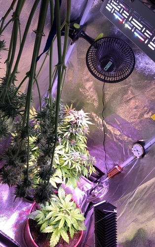 Growreport Bild 8