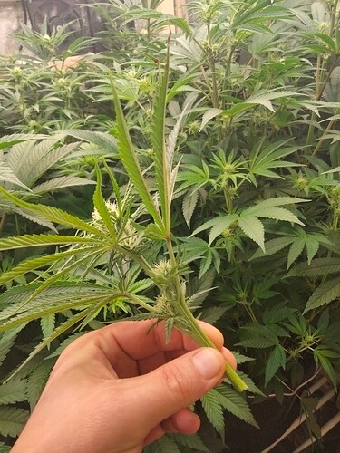 Growreport Bild 10