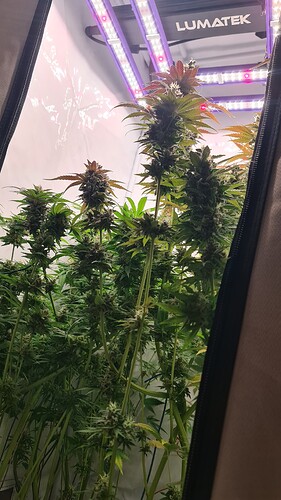 Growreport Bild 22
