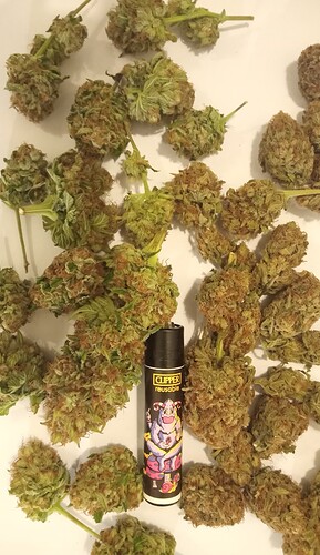 Growreport Bild 19