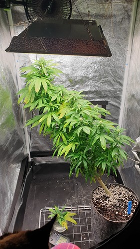 Growreport Bild 5
