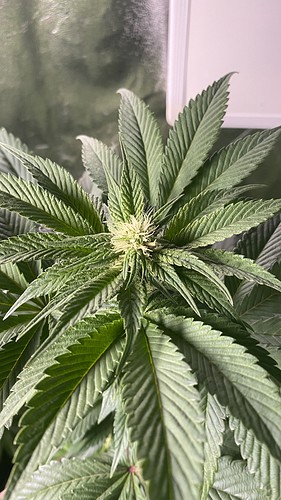 Growreport Bild 11